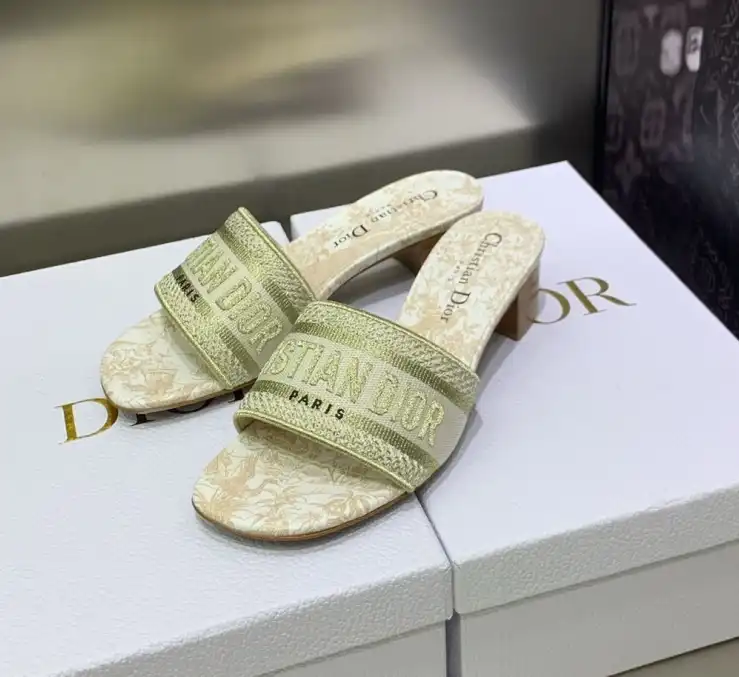 hype Christian Dior Slippers