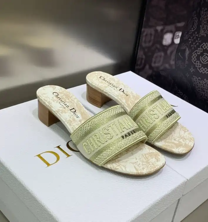 hype Christian Dior Slippers