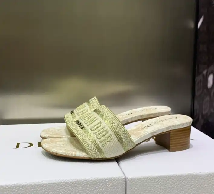 hype Christian Dior Slippers