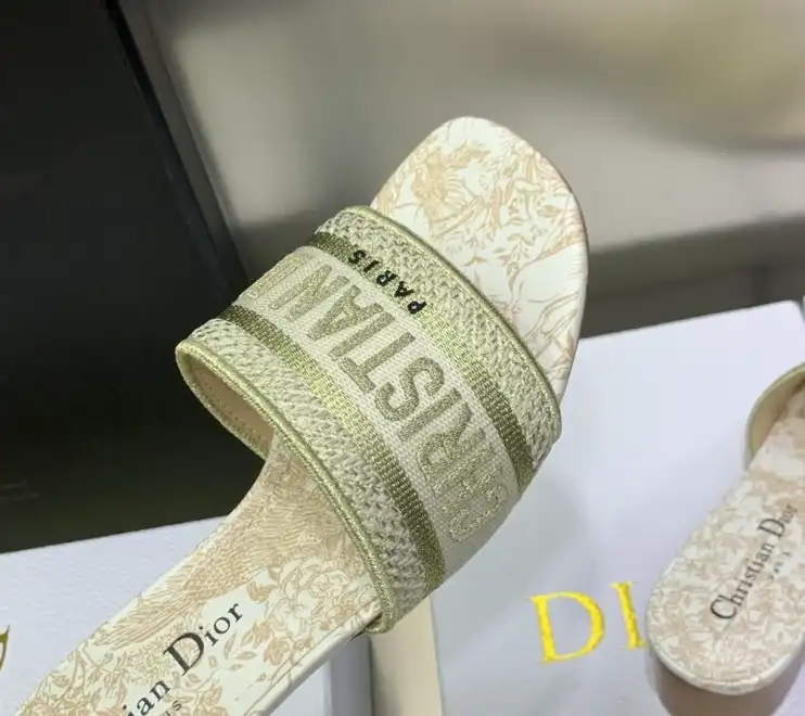 hype Christian Dior Slippers