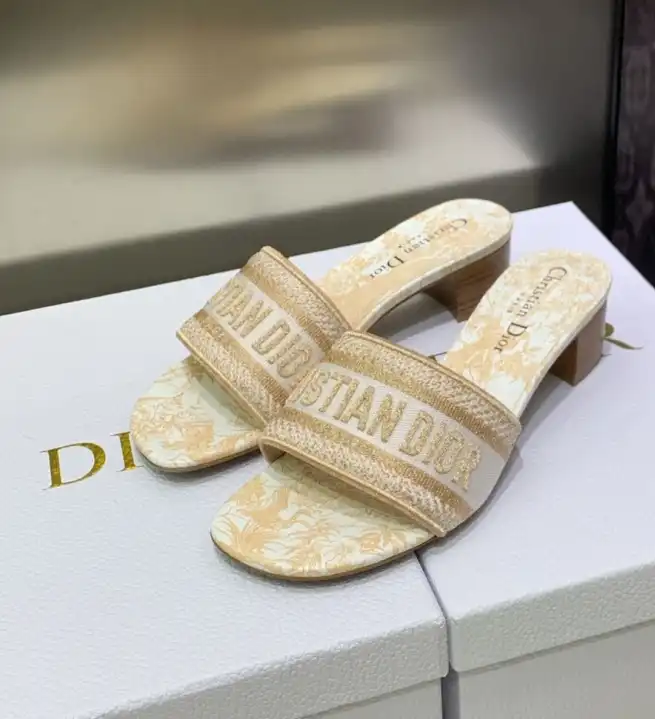 hype Christian Dior Slippers