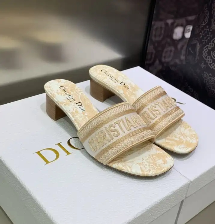 hype Christian Dior Slippers