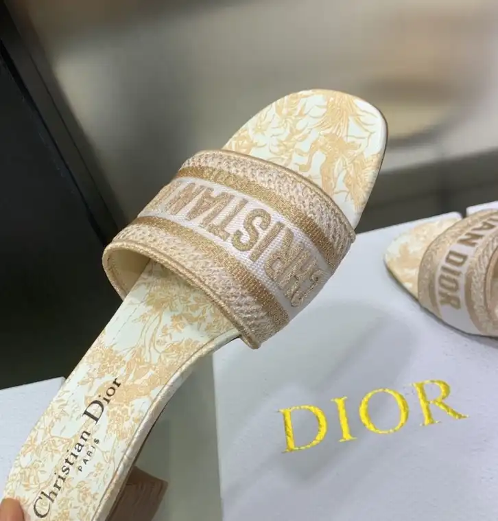 hype Christian Dior Slippers