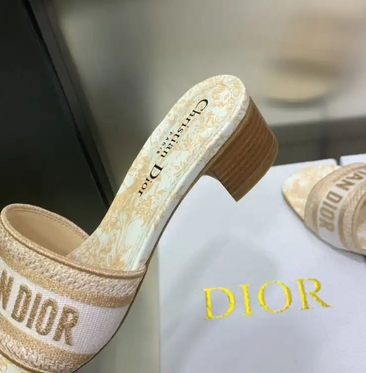 hype Christian Dior Slippers