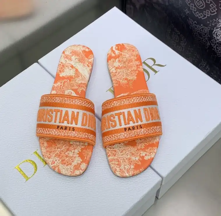 hype Christian Dior Slippers