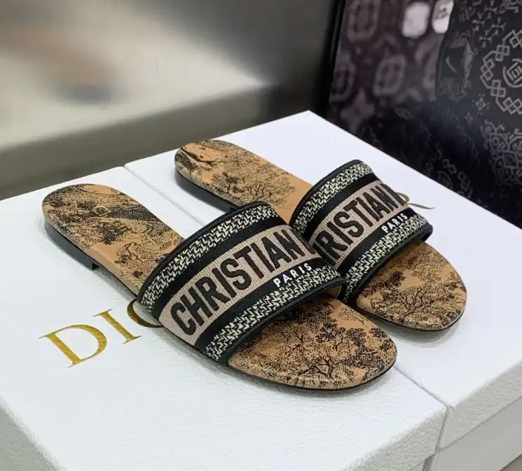 hype Christian Dior Slippers