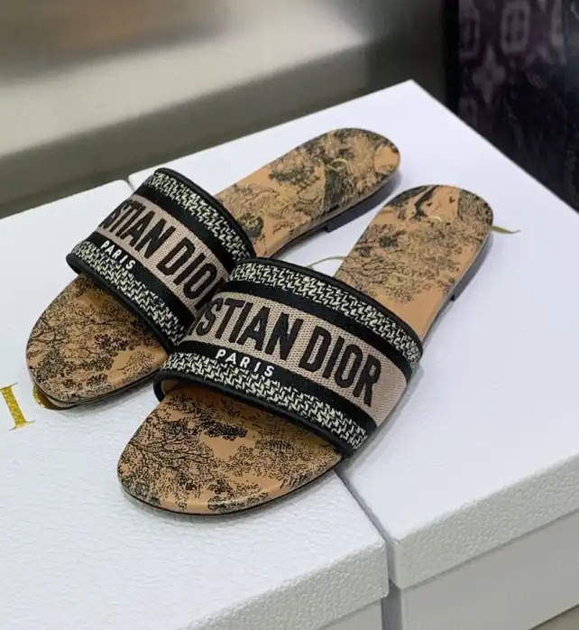 hype Christian Dior Slippers