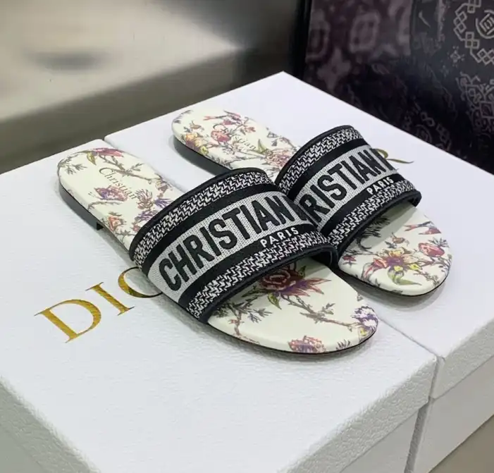 hype Christian Dior Slippers