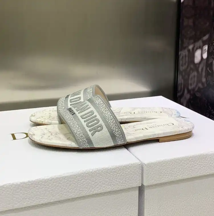 hype Christian Dior Slippers