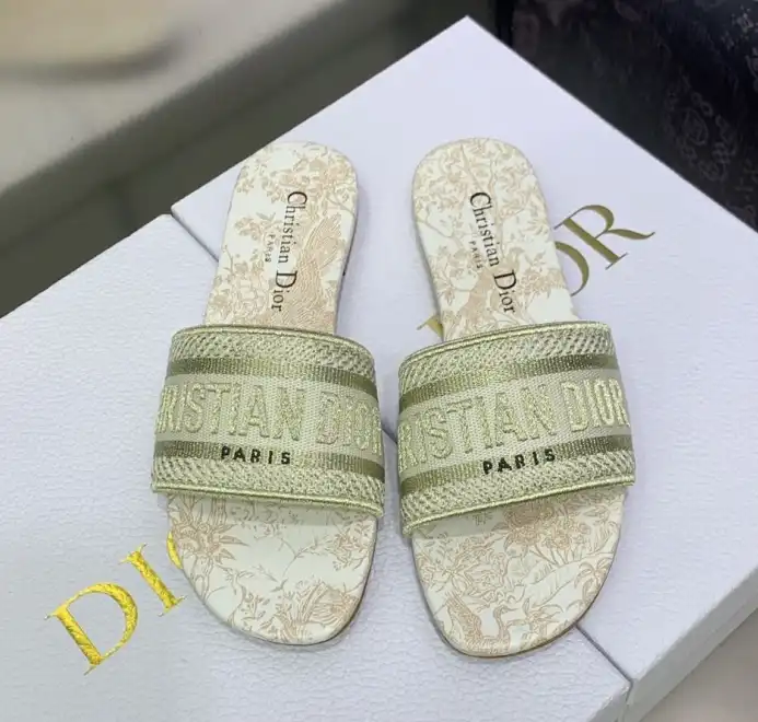 hype Christian Dior Slippers