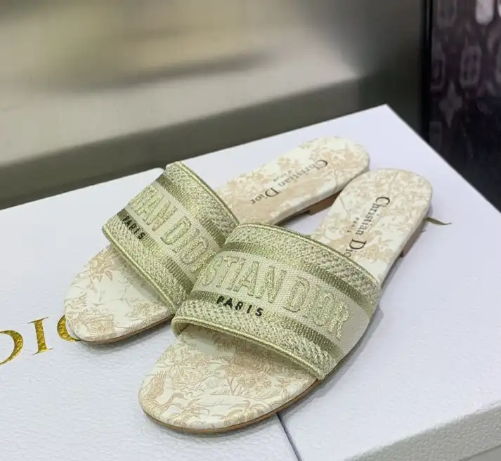 hype Christian Dior Slippers