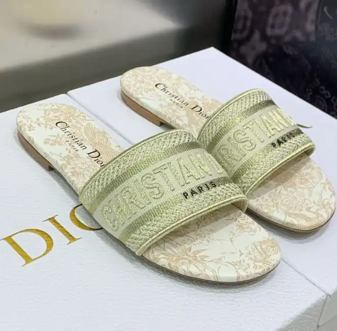 hype Christian Dior Slippers