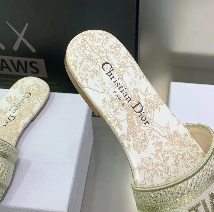 hype Christian Dior Slippers