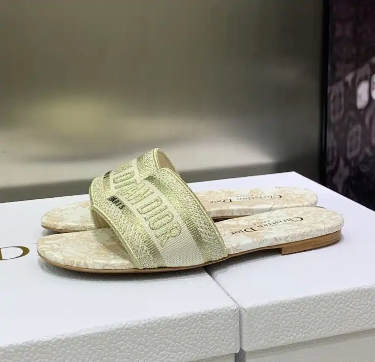 hype Christian Dior Slippers