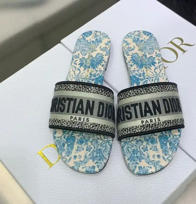 hype Christian Dior Slippers