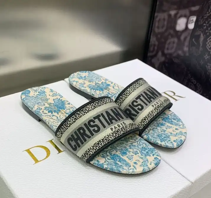 hype Christian Dior Slippers