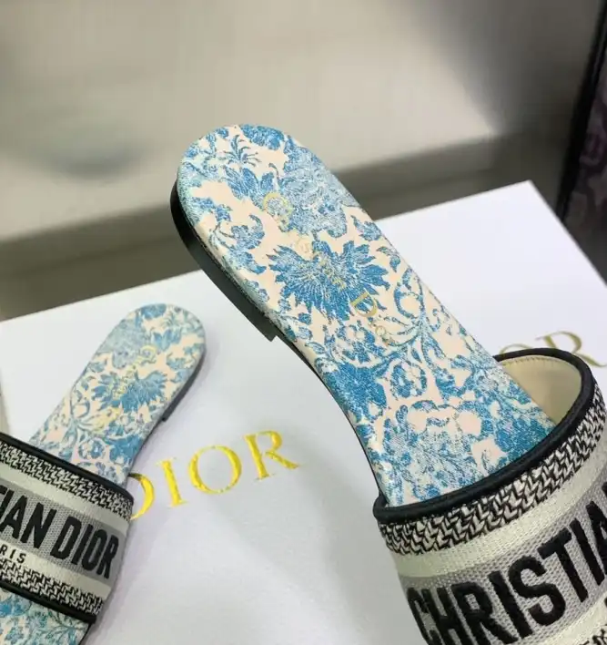 hype Christian Dior Slippers