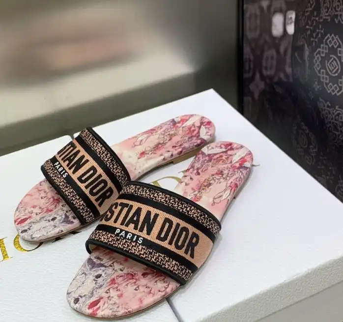 hype Christian Dior Slippers