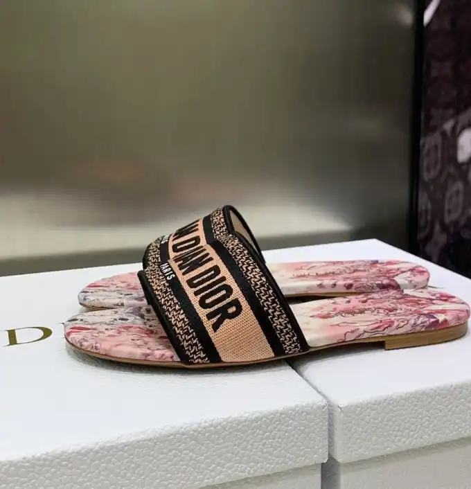 hype Christian Dior Slippers