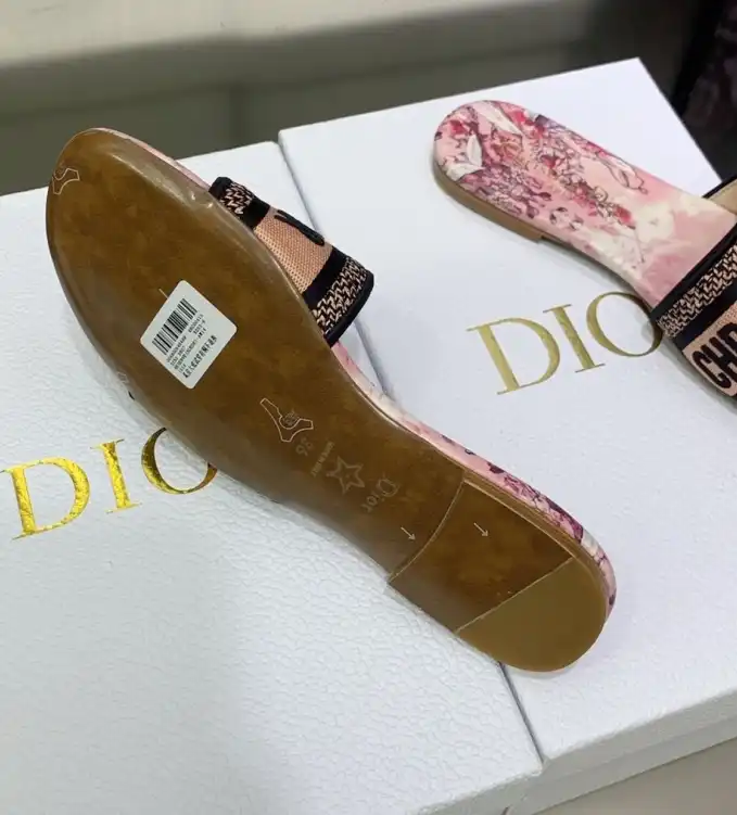 hype Christian Dior Slippers