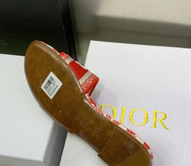 hype Christian Dior Slippers