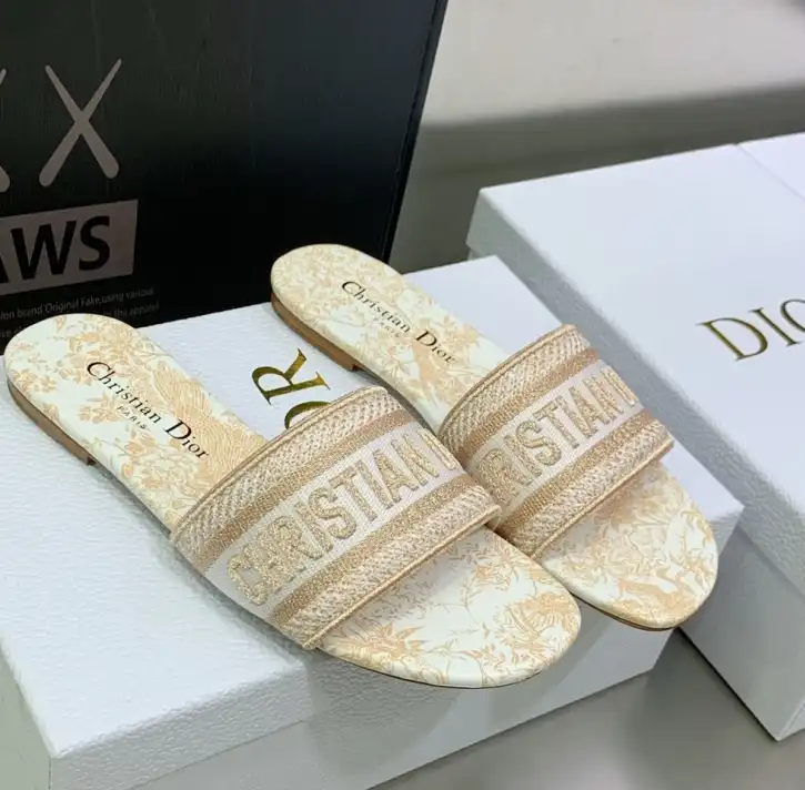 hype Christian Dior Slippers