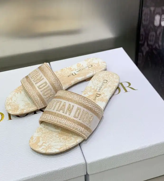 hype Christian Dior Slippers