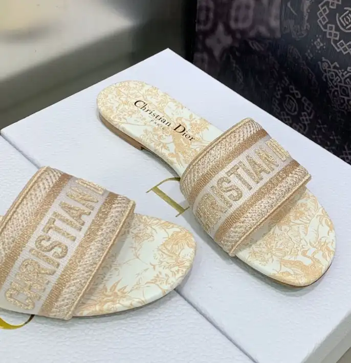 hype Christian Dior Slippers