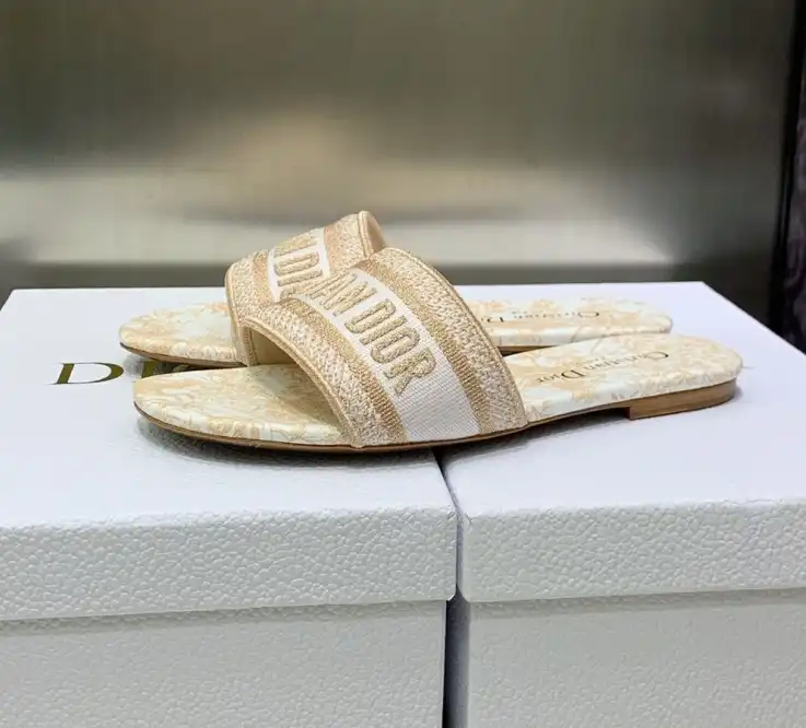 hype Christian Dior Slippers