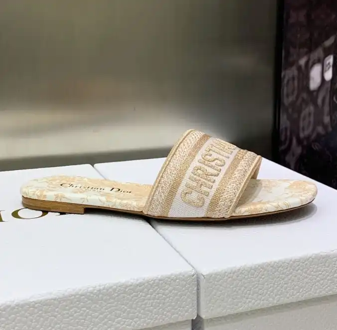 hype Christian Dior Slippers