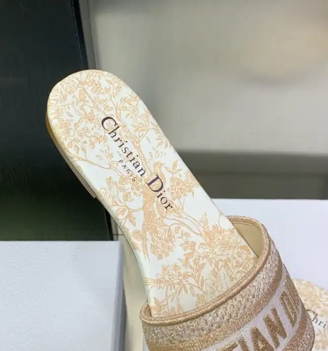 hype Christian Dior Slippers