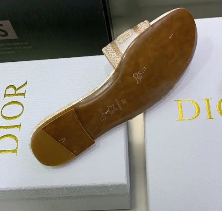 hype Christian Dior Slippers