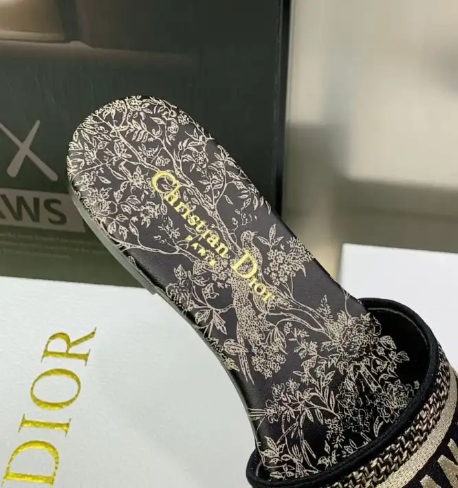 hype Christian Dior Slippers