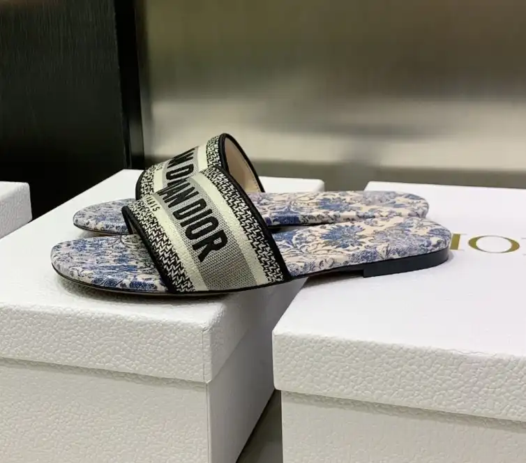 hype Christian Dior Slippers