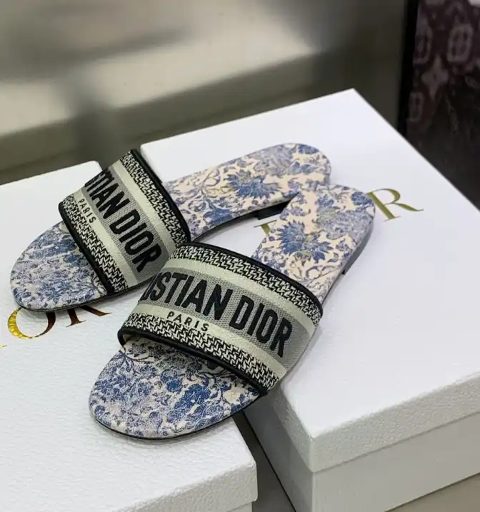 hype Christian Dior Slippers