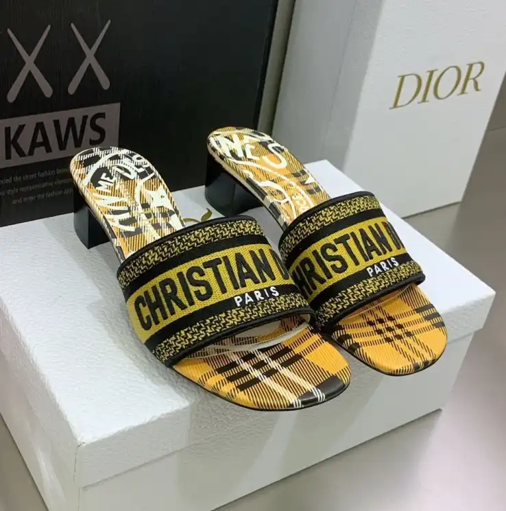 hype Christian Dior Slippers