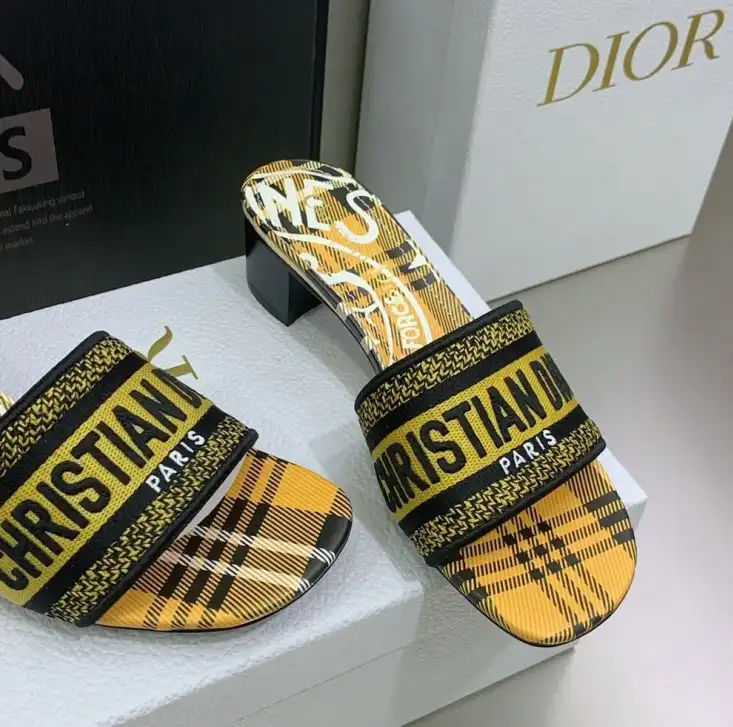 hype Christian Dior Slippers