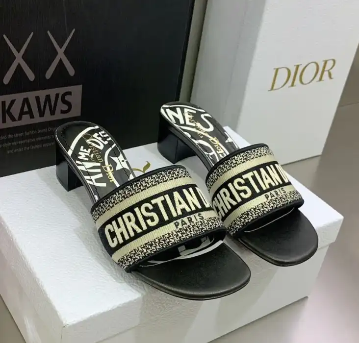 hype Christian Dior Slippers