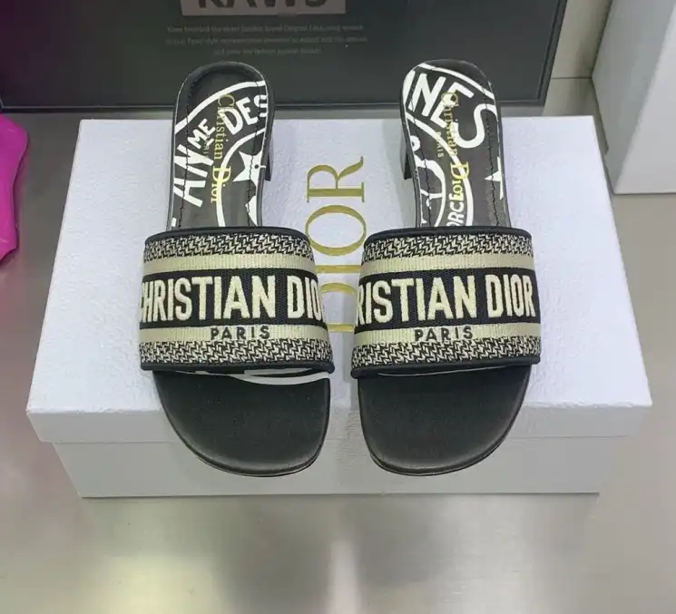 hype Christian Dior Slippers