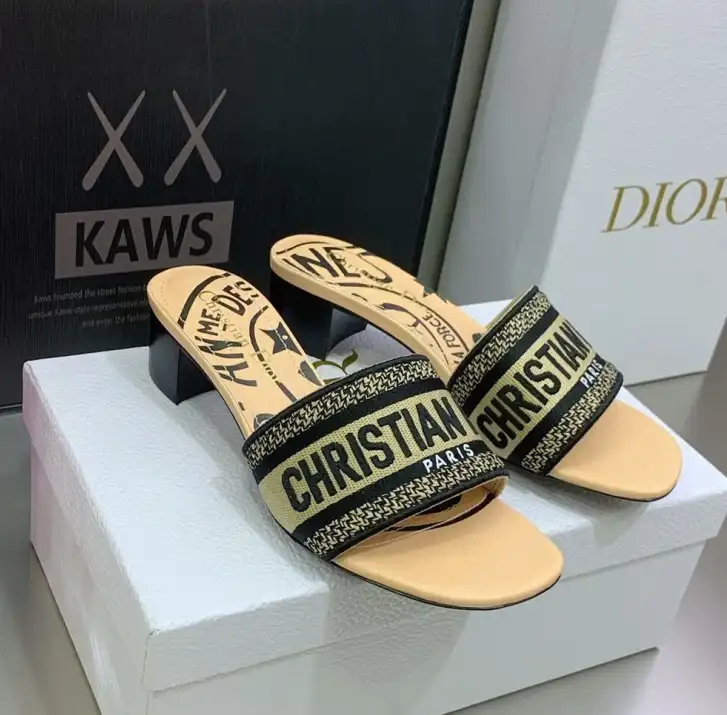 hype Christian Dior Slippers