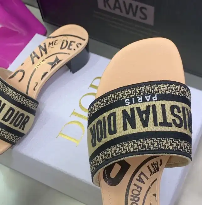 hype Christian Dior Slippers