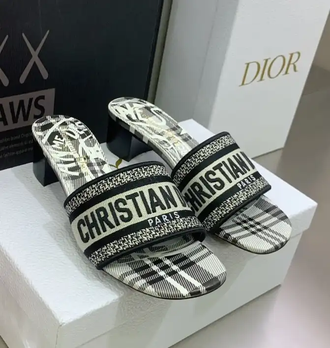 hype Christian Dior Slippers