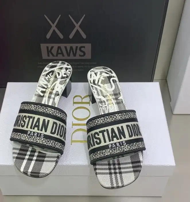 hype Christian Dior Slippers