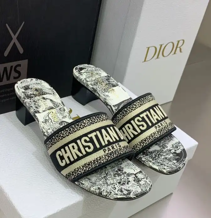 hype Christian Dior Slippers