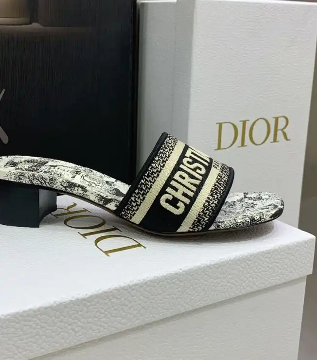 hype Christian Dior Slippers