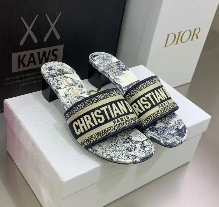 hype Christian Dior Slippers