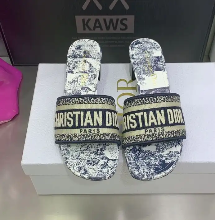 hype Christian Dior Slippers