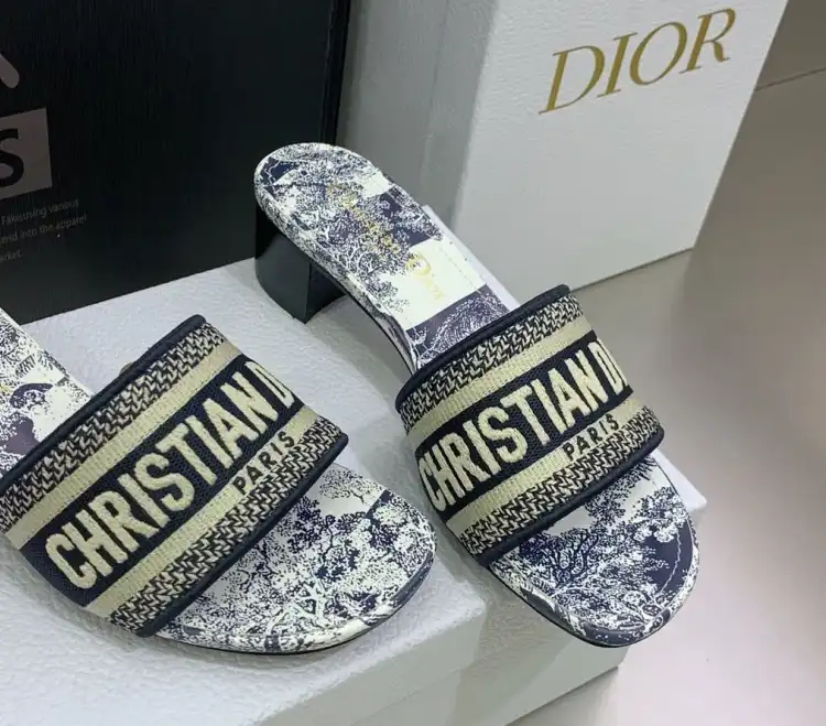 hype Christian Dior Slippers