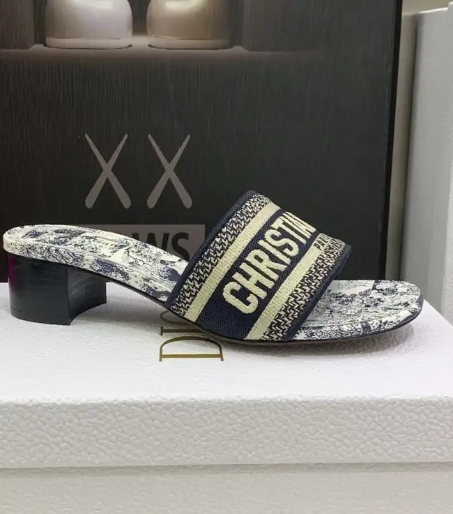 hype Christian Dior Slippers