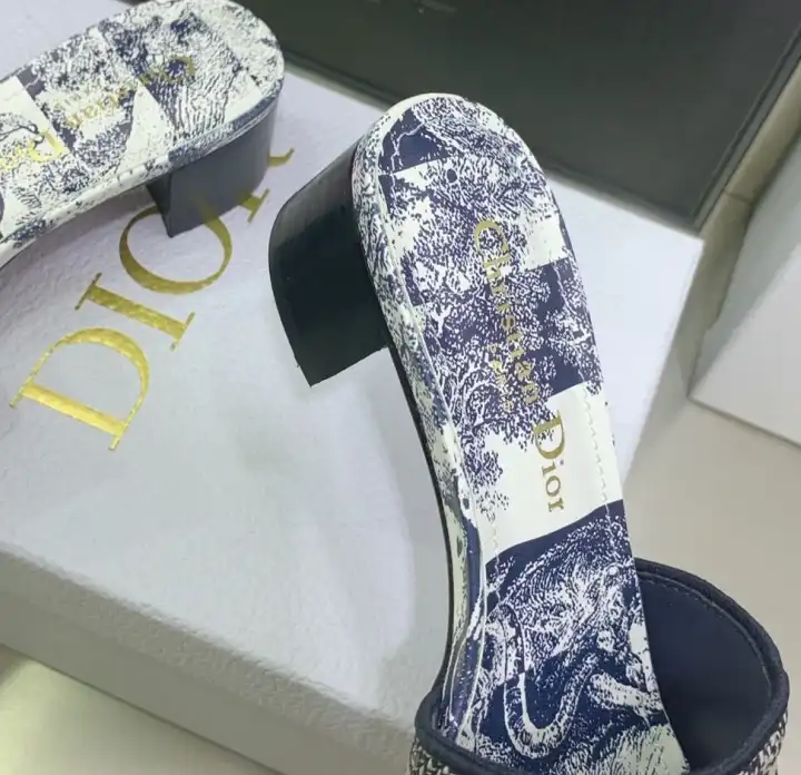 hype Christian Dior Slippers